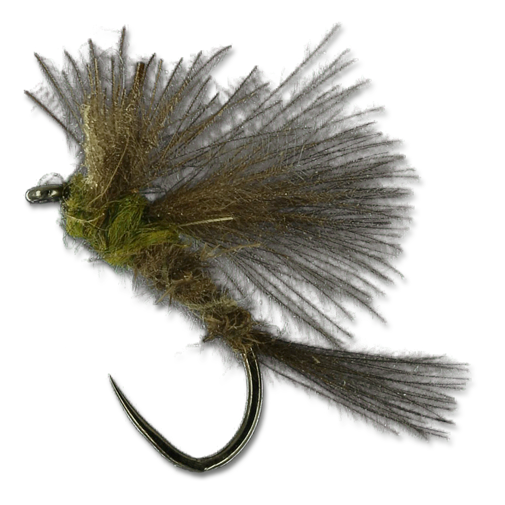Eldin's CDC Emerger