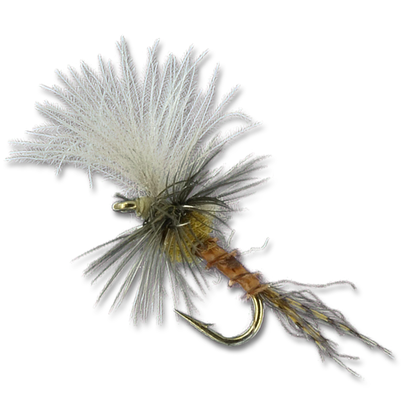 Harrop's Last Chance Cripple