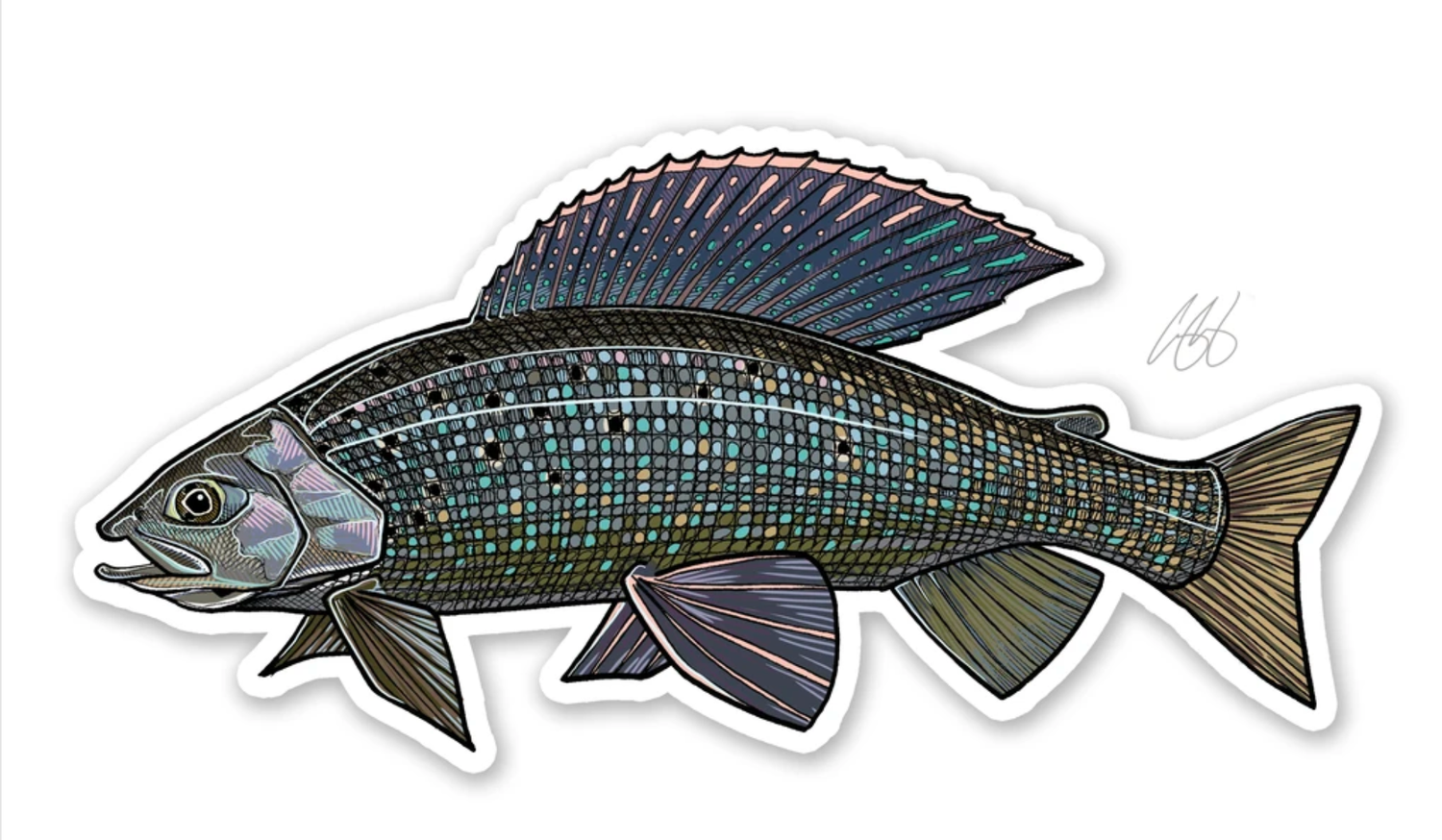 Casey Underwood Fish Decals