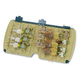 Tacky Pescador Leaflets