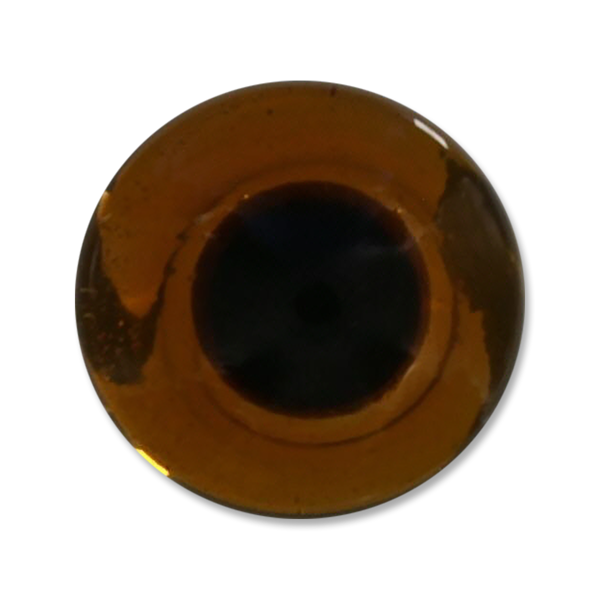 The Fly Shop's Glass Taxi Eyes