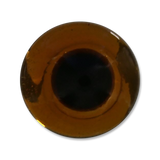 The Fly Shop's Glass Taxi Eyes