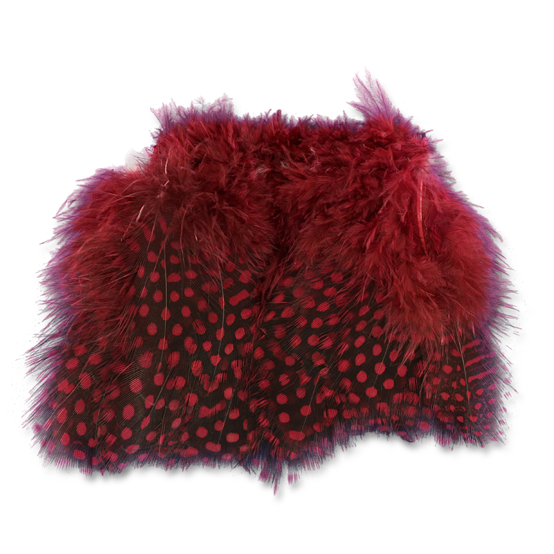 Select Guinea Body Feathers