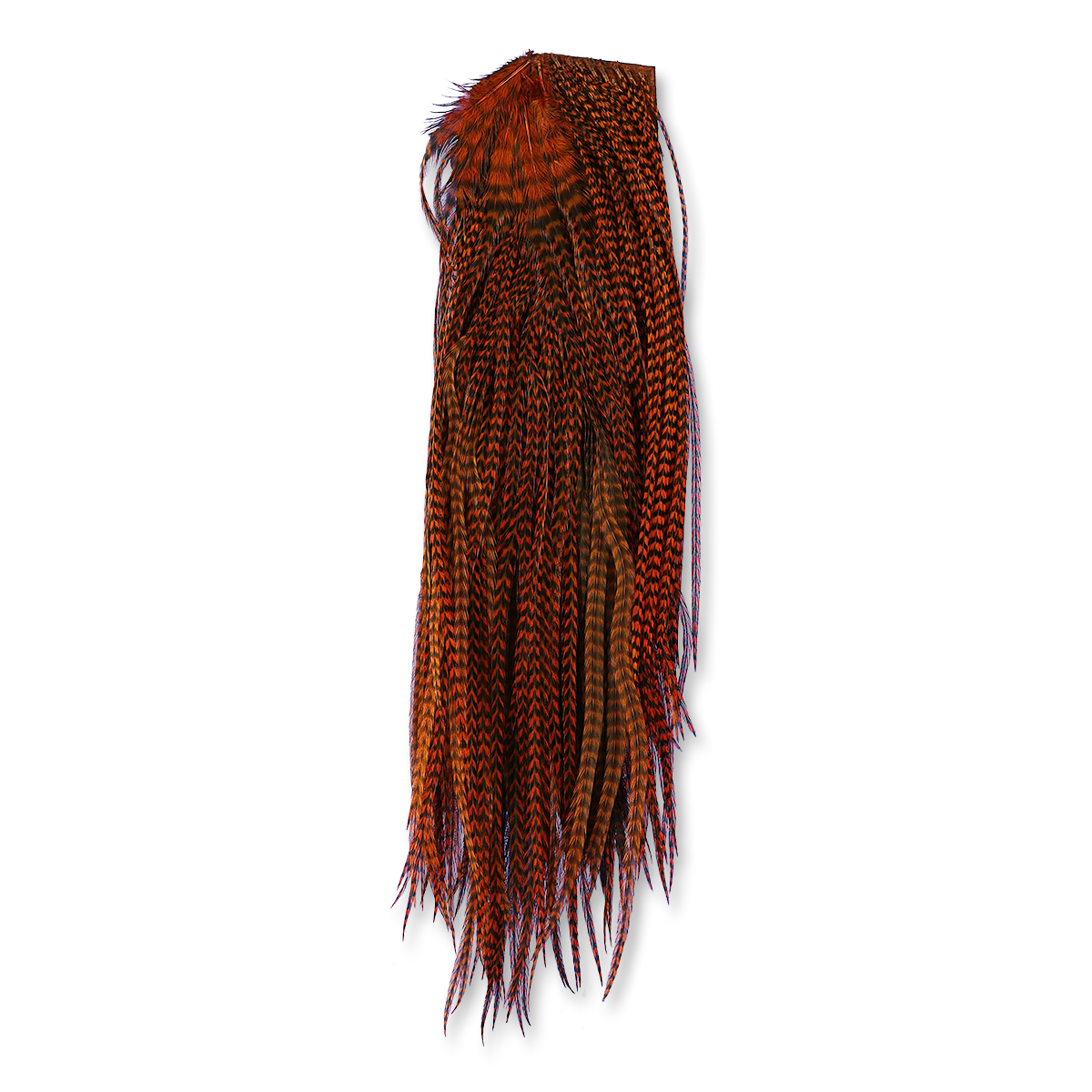 Jay Fair Grizzly Premium Saddles