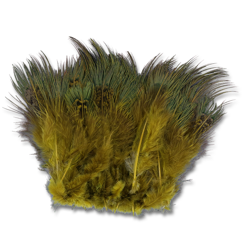 Strung Ringneck Pheasant Rump