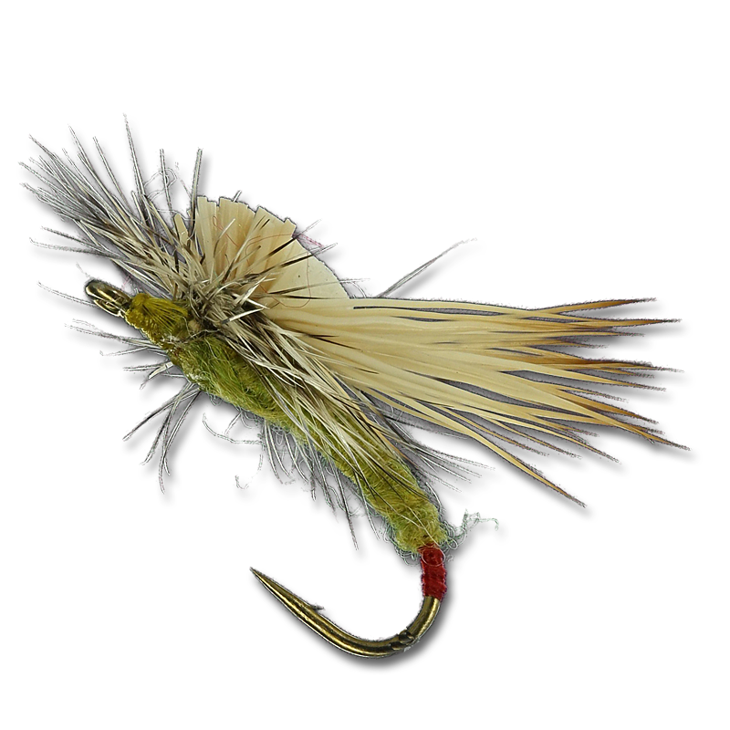 Brooks Hedlite Sally - #16