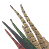 Pheasant Tail Feathers