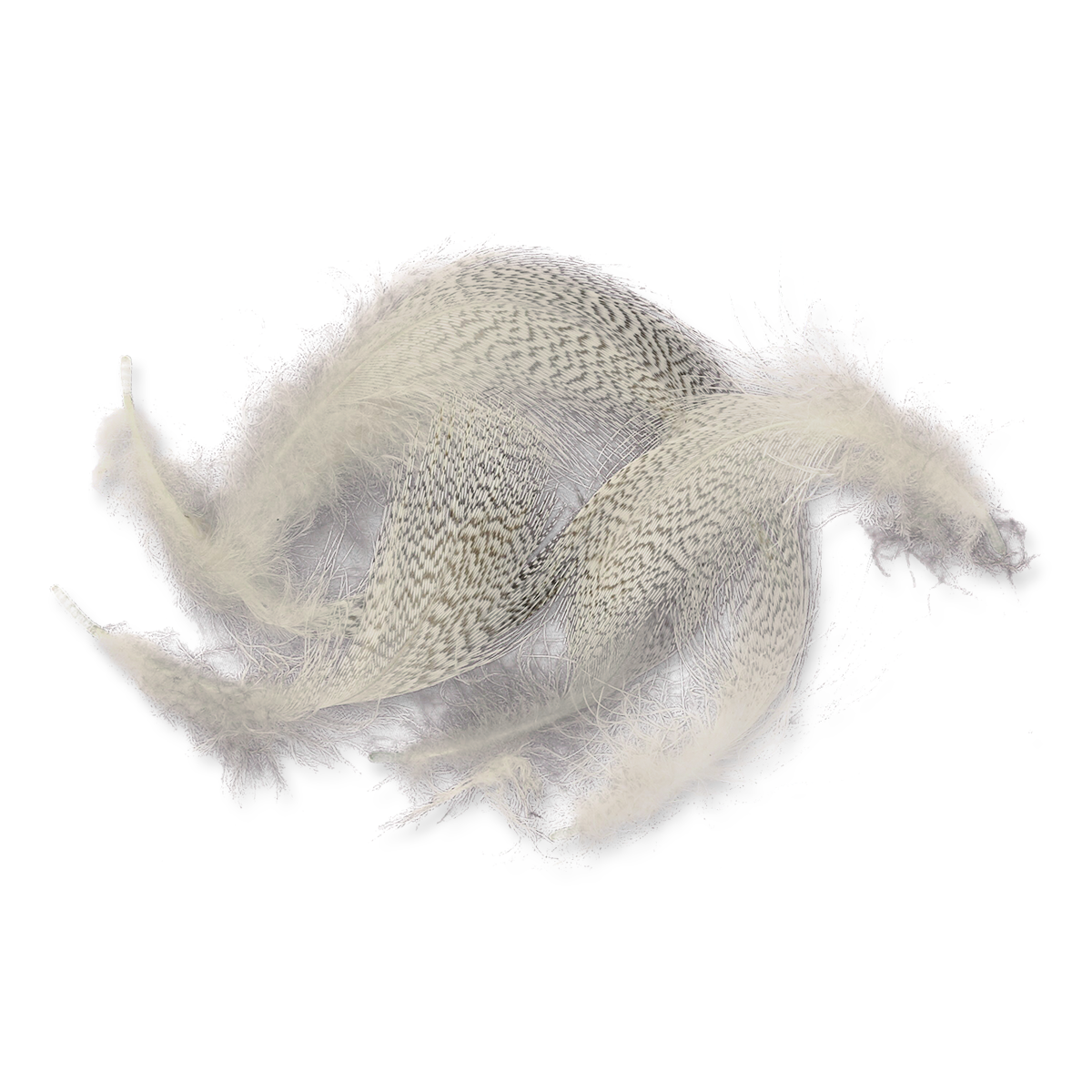 Select Mallard Flank