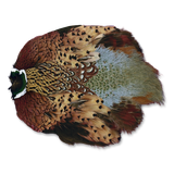 Ringneck Pheasant Skin