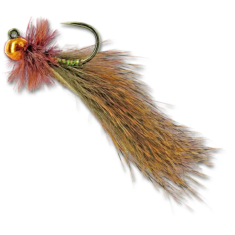 Meyer's Jigged Leech - #16