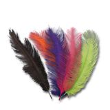 Ostrich Plumes