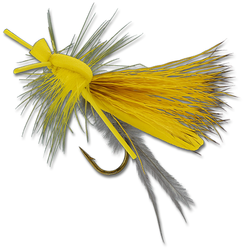 Lance's Hex Cripple - #6