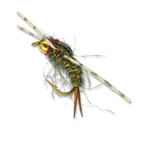 EMB GBRL Prince - #6