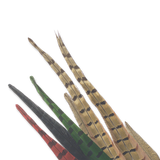 Pheasant Tail Feathers
