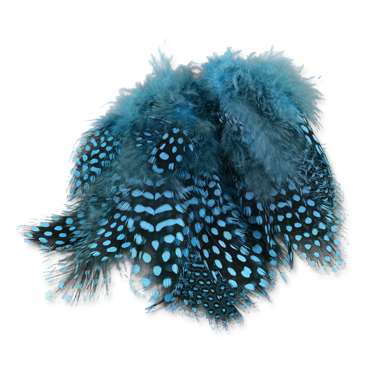 Select Guinea Body Feathers