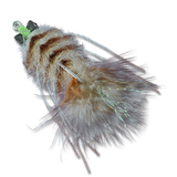 Enrico's Fleeing Crab