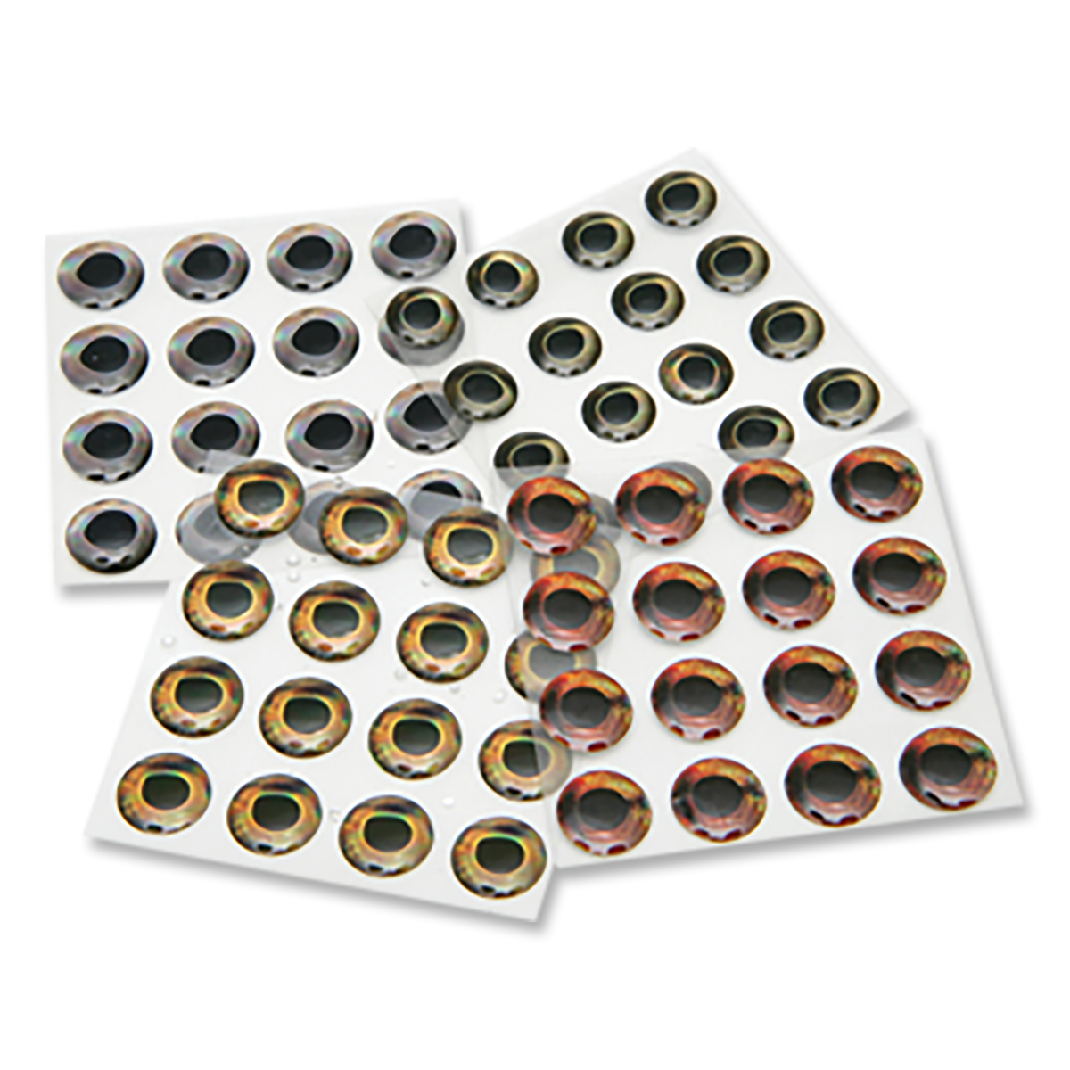 Fish Skull Living Eyes