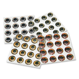 Fish Skull Living Eyes