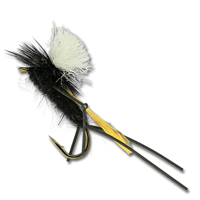 DCF Cricket - Black #10