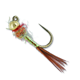 Jigged Rainbow Warrior