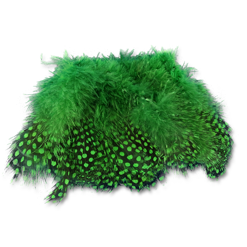 Select Guinea Body Feathers