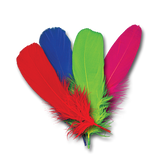 Goose Shoulder Feather