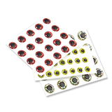 Holographic 3-D Eyes